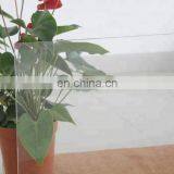 Anti Glare Glass/Non Glare Glass/Anti Reflective Glass thumbnail-4