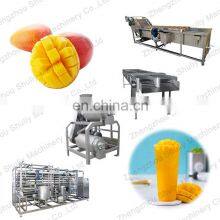 New Design Mango Juicer Production Line Electric Beater Fruit Juice Machine Mango Puree Processing Line thumbnail-4