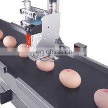 Online Automatic Continuous Coding Machine Printing LOGO Date Batch Number Production Line Egg Inkjet Printer thumbnail-3