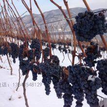 Ji\'an Midea Manor Winery Co., Ltd company overview - view 3 thumbnail
