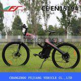 2015 Fujiang FJ-TDE01 Adult Electric Bike 8fun 500w Motor thumbnail-2