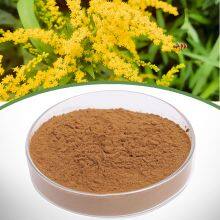 Golden Rod Extract thumbnail-1