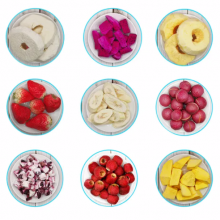 Intelligent Upgrade Freeze Vacuum Drying Machine thumbnail-4