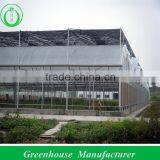 Making a Greenhouse thumbnail-1