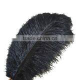Carnival Decoration Ostrich Feathers, White Plumes, Dyed 20-30 Inches High Quality thumbnail-5