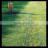 Protected Netting| Fence in Landscape Engineering From China thumbnail-4