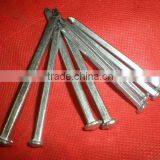 Galvanized Roofing Nails
