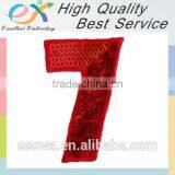 Professionally Custom Iron-on Sequin Numbers thumbnail-6