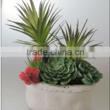 real touch artificial plant