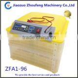 Small Little Turtle Incubator / Automatic Egg Incubator thumbnail-1