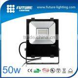 Hot Sale 50w Led Flood Light IP65 SMD Bridgelux 12 Volt Led Lights Cricket Live