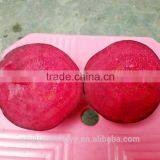 Red Beets thumbnail-2