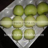 New Crop Fresh Golden Delicious Apple (88/100/113/125)