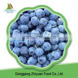 2016 New Season Frozen Blueberry Prices thumbnail-1