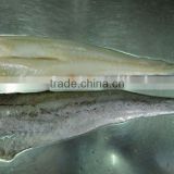 pacific cod fillet seafood