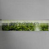 Stevia;SteviaSugar ,natural Sweetener thumbnail-1