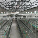 Metal Chicken Layer Cage for Poultry Farm thumbnail-5