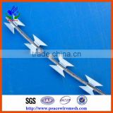 Sell Razor Tape Wire Net Blade wire Barbed wire Protective net