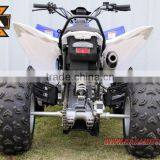 250cc Quad Bikes for Sale thumbnail-6