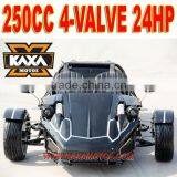 Trike Scooter 250cc thumbnail-5