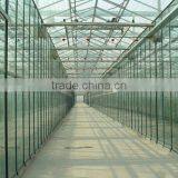 Large Glass Agricultural Greenhouses Supply by Qingzhou Shuiwang Comapny thumbnail-6