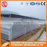 China Direct Plastic Greenhouse for Agricultural Farming thumbnail-3