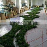 Factory Price Plastic Plants Artificial Wall thumbnail-3