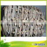 Top Quality Outdoor Flower Arranging Wicker Basket With Plastic Liner thumbnail-3