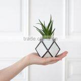 Gardening Gift Cuboctahedron Cactus Planter Geometric Glass Terrarium thumbnail-2