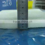 Whole Round Giant Squid With Frozen Seafood Company thumbnail-1