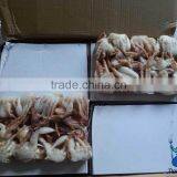 Frozen Sand Crab(Ovalipes Punctatus) 2017 New Landing thumbnail-4