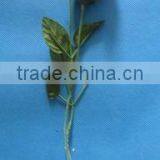 707054 PLASTIC FLOWER thumbnail-1