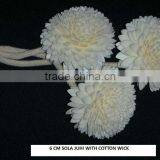 Sola Juhi Flower thumbnail-1
