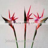 Paradise Bird Silk Artifical Flowers, Size and Color Can be Custmized, thumbnail-2