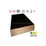 Poplar Core Film Faced Plywood for Construction thumbnail-1