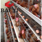 Layer Chicken Cage For Sale For Poultry Farm