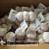 Small Packing 5-5.5cm Fresh Red Garlic Produced In Jinxiang Shandong China thumbnail-4