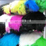 Wholesale South Africa Ostrich Feathers for Decoration Wedding Ostrich Feathers thumbnail-6