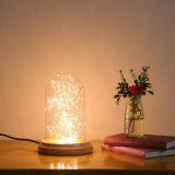 Indoor Decorative LED table light table lamp