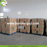 Factory Supply New Harvest Dried Goji Berries thumbnail-5