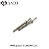 Stainless Steel Screw