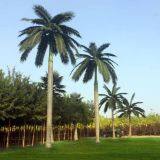 Artificial Royal Coco Palm thumbnail-2