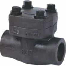 Forged Check Valve