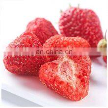 Fruit Vacuum Freeze Drying Machine for Sale thumbnail-4