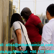 High Viscosity HEC for Paints | Ideal Replacement for Bermocoll, Natrosol & Tylose in Kenya Market thumbnail-3