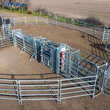 Australian Standard Free Standing Heavy Duty Cattle Yard Panels With a Wing Gate thumbnail-2