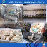 300kg/h Home Type Cassava Flour Machine