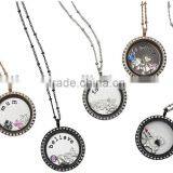 Stainless Steel Floating Locket Glass Locket Magnet China Manufacturer thumbnail-1