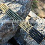 Spinning Rod thumbnail-4