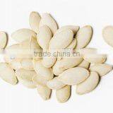 Roasted Salted Shin Skin Pumpkin Seeds